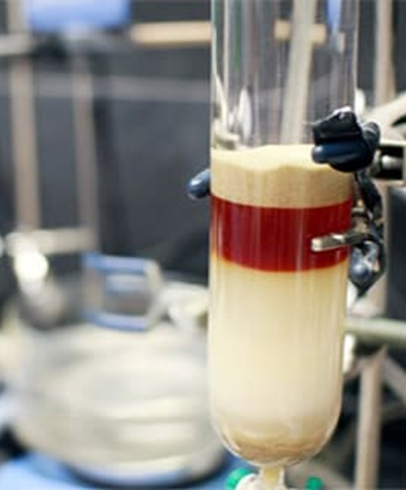 Pharma Company in Pune Director